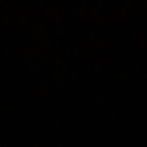 Meet your Posher, Ben